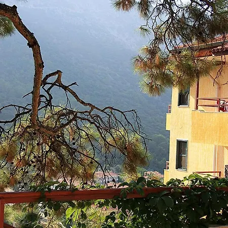 Bellevue Hotell 3*