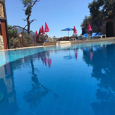 Bellevue 3*