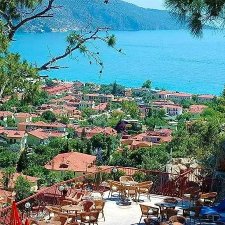 Bellevue أولدينيس