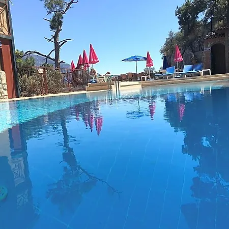 Bellevue 3* أولدينيس