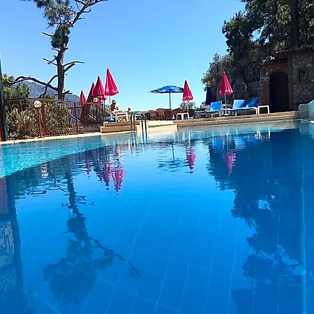 فندق Bellevue 3*