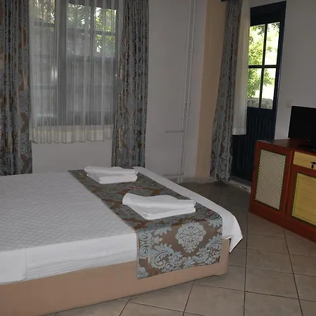 Bellevue 올루데니스